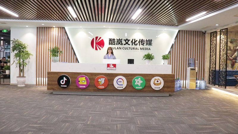 了解公司的技术实力，可以通过以下途径：