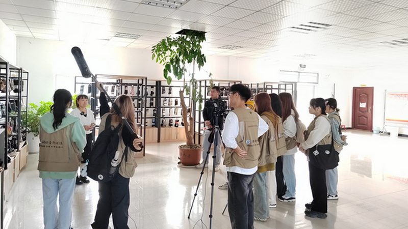 MG动画人物设计参数：揭秘创意与技术的完美融合**